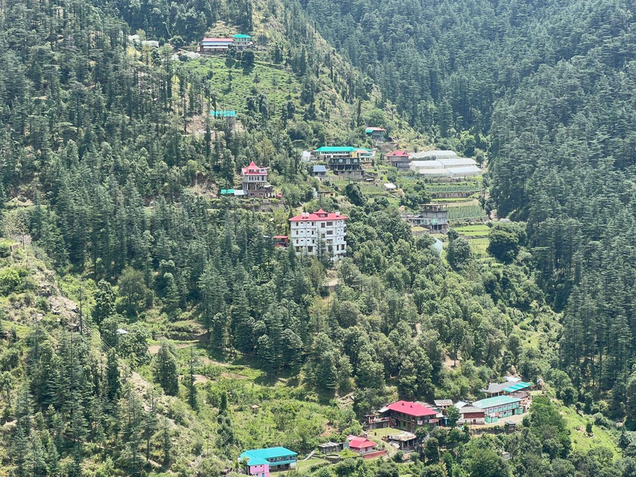 the jungle story by headquarter