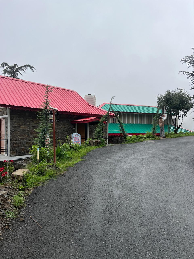 the jungle story by headquarter