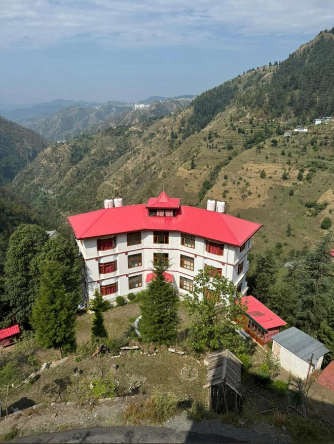 the jungle story by headquarter