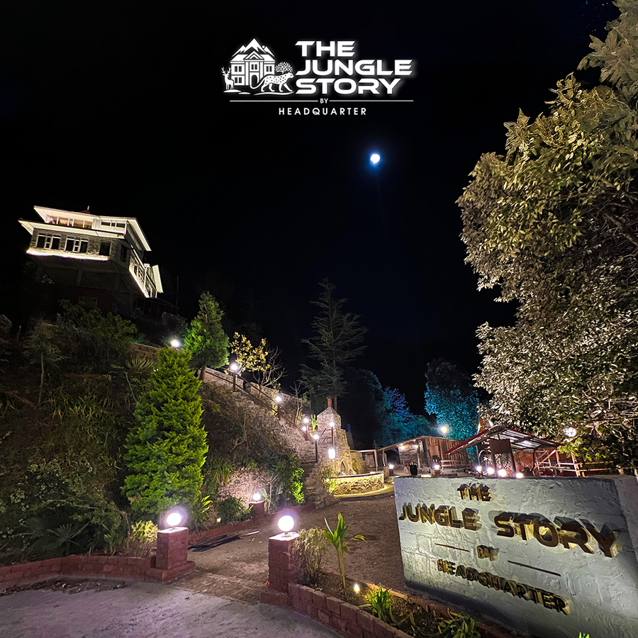 the jungle story by headquarter