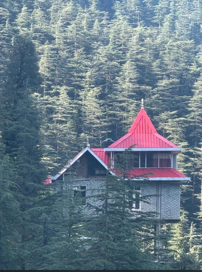 the jungle story by headquarter