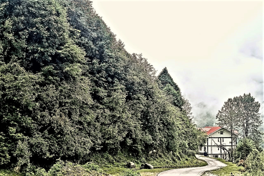 floret resort lachung