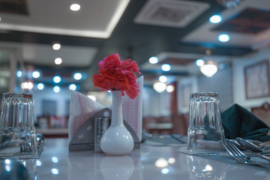 raj vilas hotel and resort