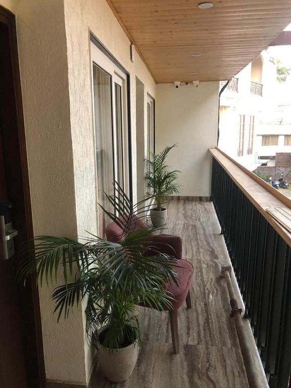 romeo lane the courtyard house