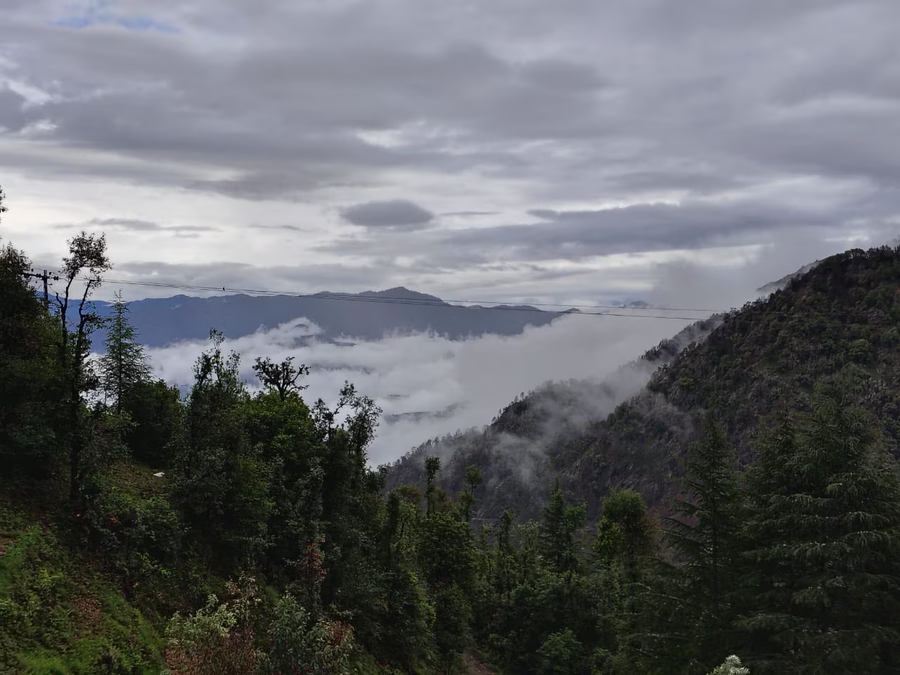 apple orchard resort by royal collection hotel