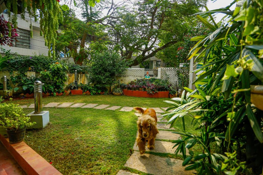 terrace gardens guest house
