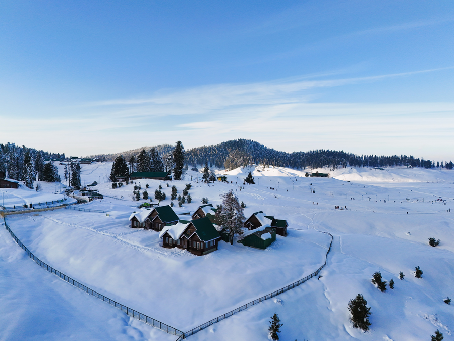 gulmarg woods by stay pattern