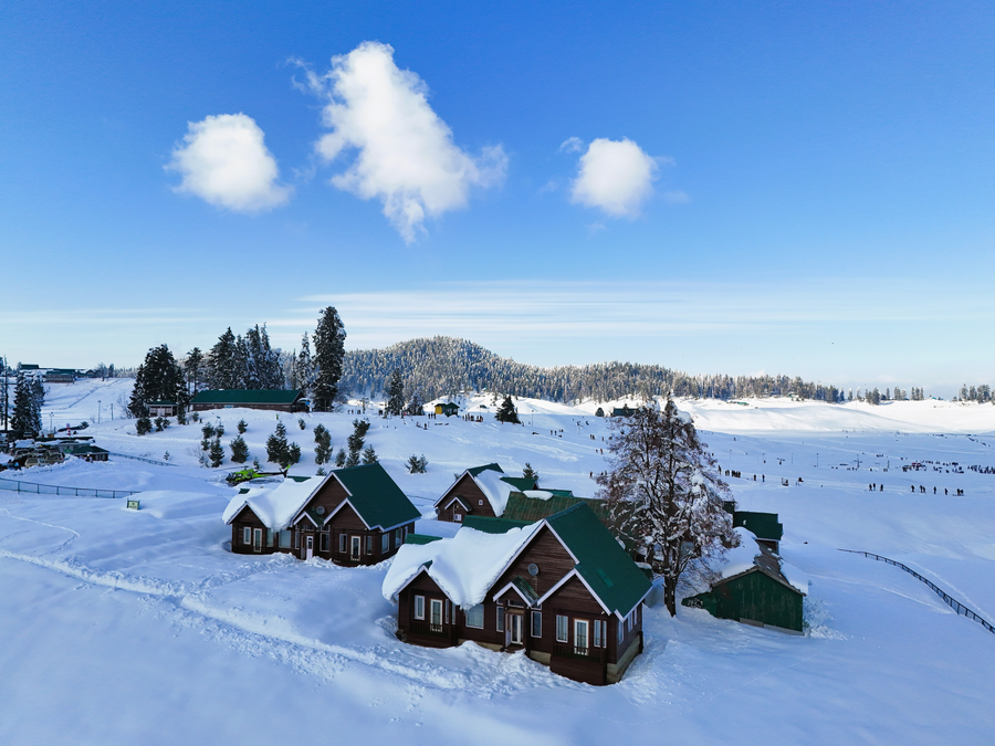 gulmarg woods by stay pattern