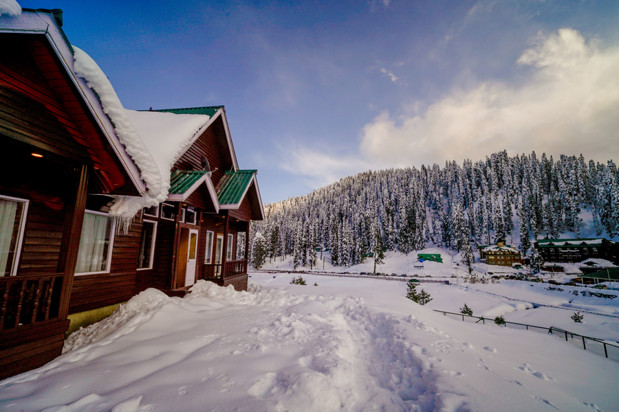 gulmarg woods by stay pattern