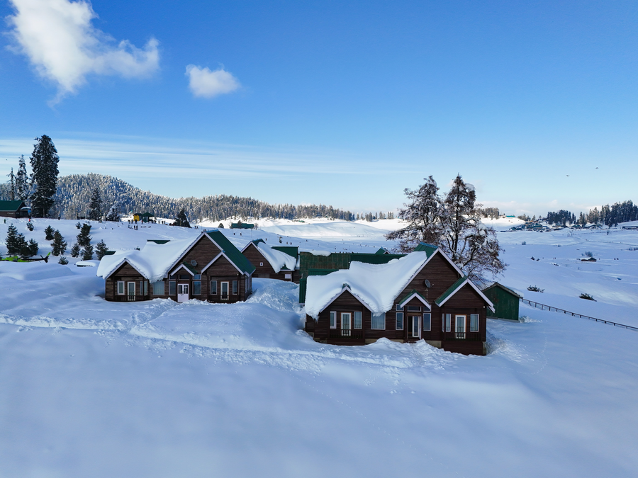 gulmarg woods by stay pattern