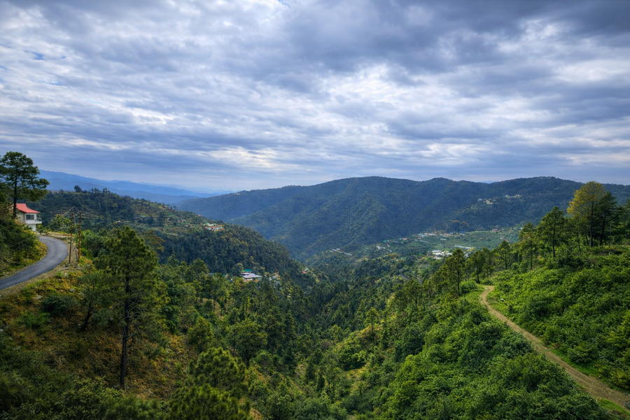 the chail resort