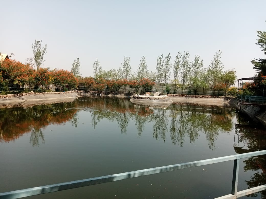 samardha jungle resort