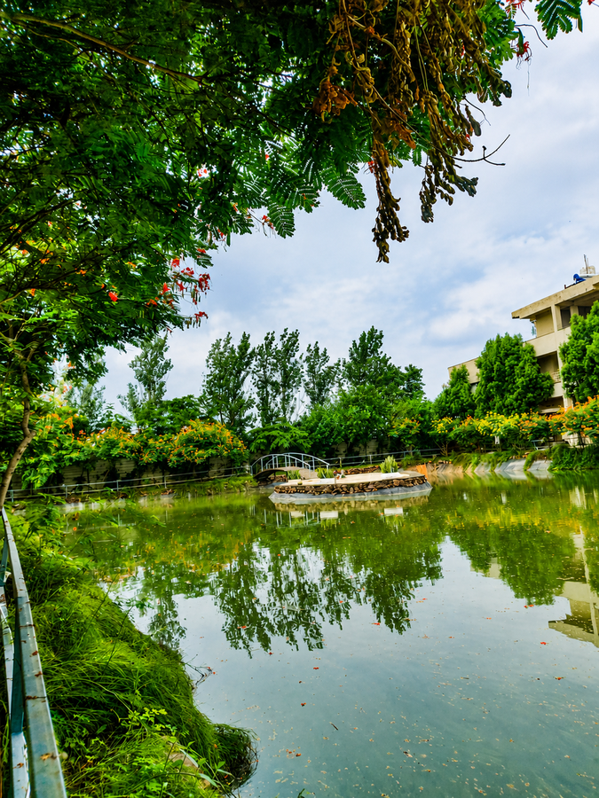 samardha jungle resort