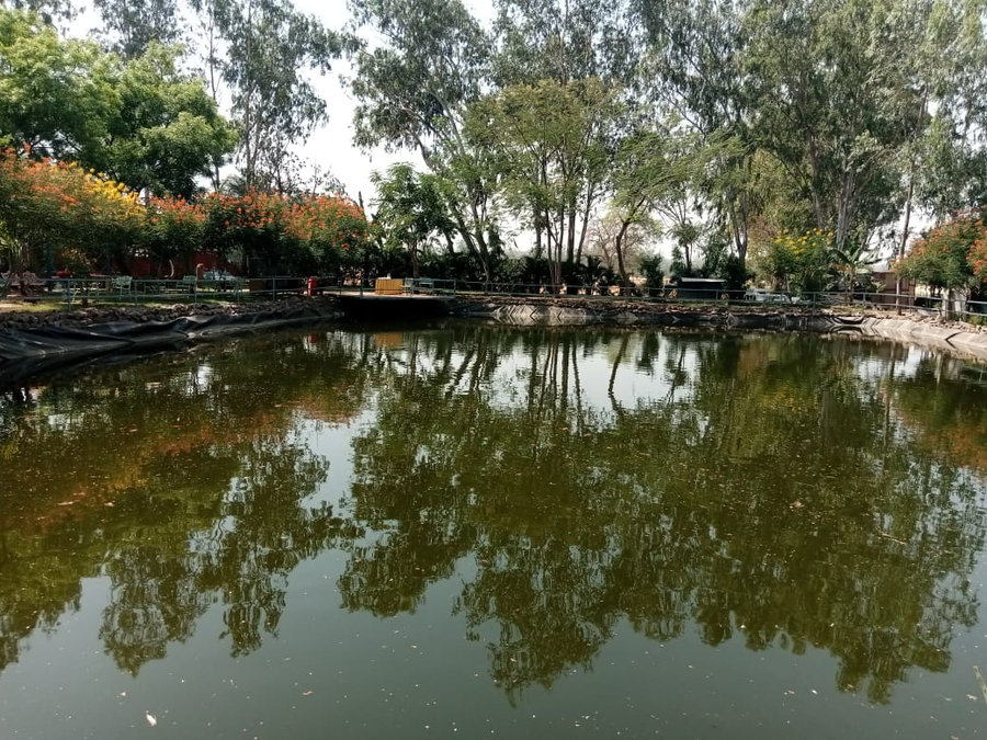 samardha jungle resort