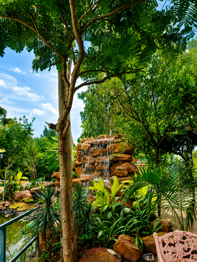 samardha jungle resort