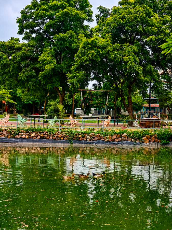 samardha jungle resort