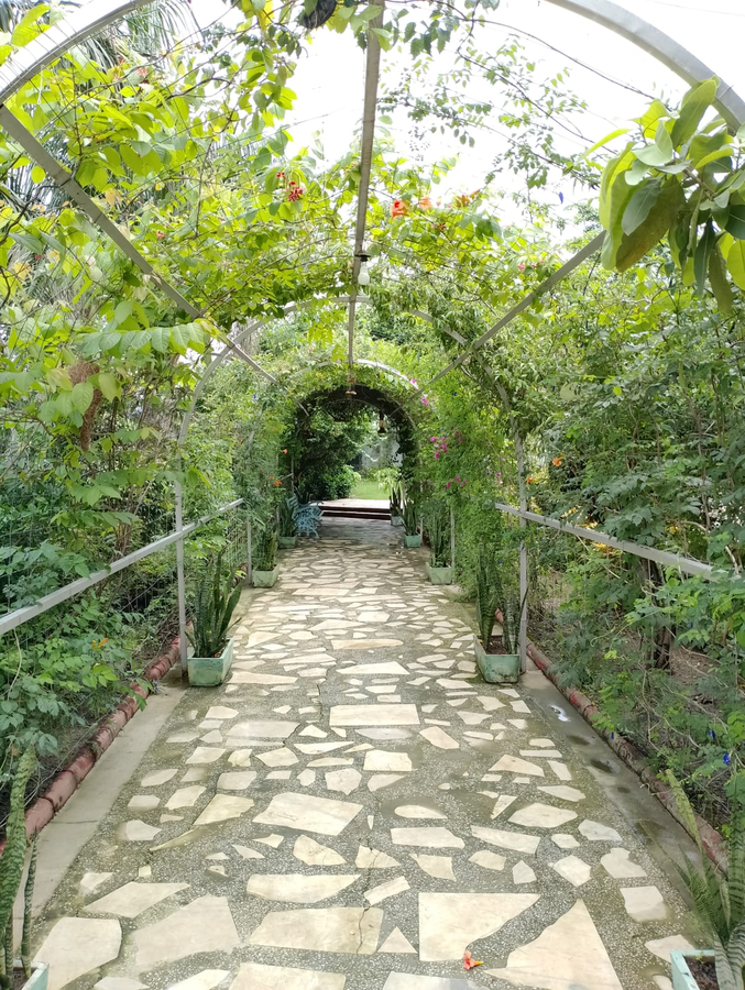 samardha jungle resort