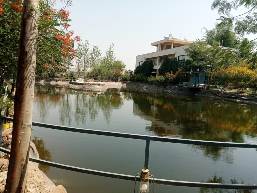 Samardha Jungle Resort,Ideally Located In The Prime Touristic Area Of Habib Ganj, Samarha Jungle Promises A Relaxing And Wo,3 star