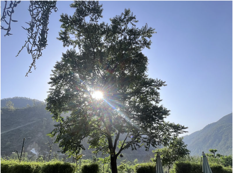 dehradun