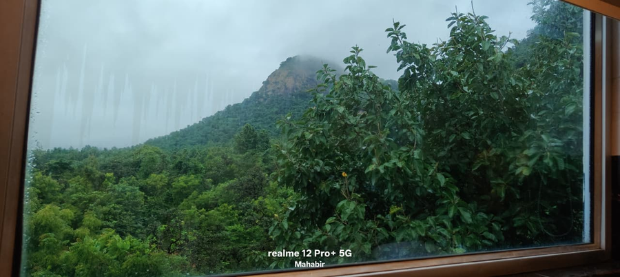 matha forest resort