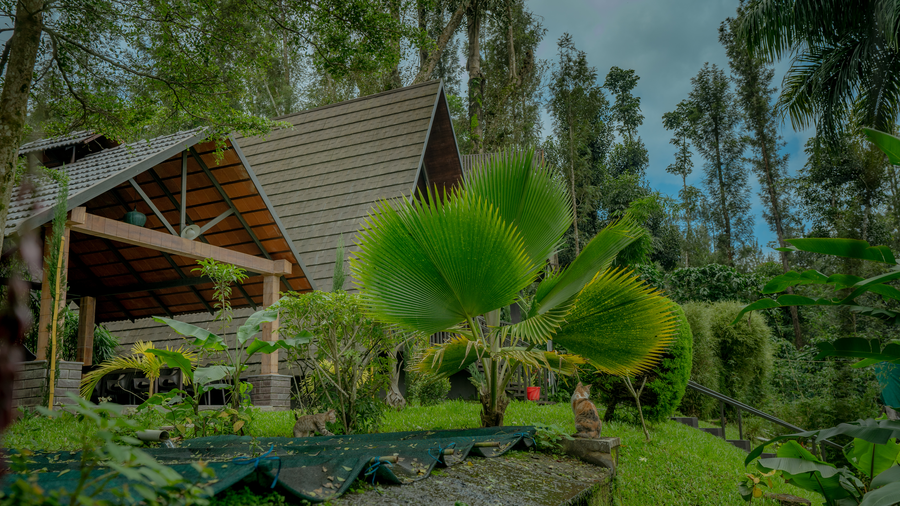 chandramukuta resort by z vacations