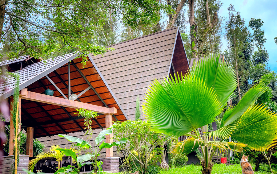 chandramukuta resort by z vacations