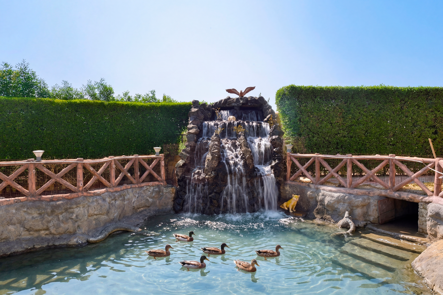 Ginger Kheda, Ahmedabad,Chandkheda, Ahmedabad,4 star