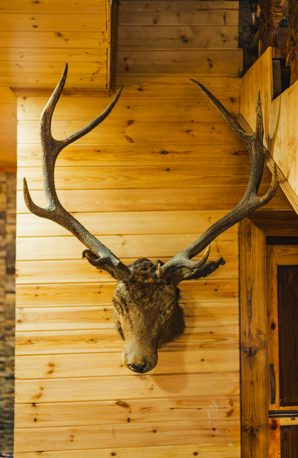 trout water lodge