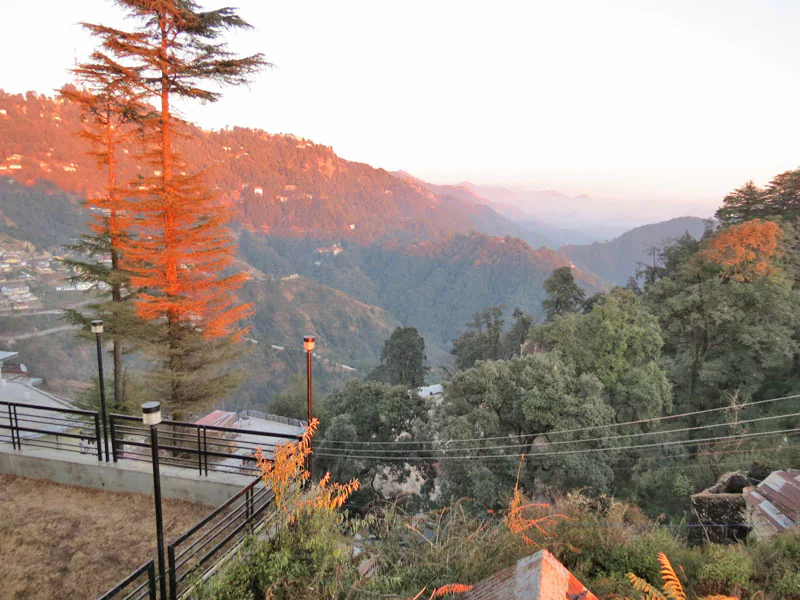 Dls Oak Bush,Mussoorie,4 star