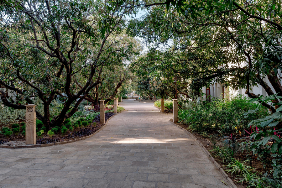 le casa lion resort a premium resort in sasan gir