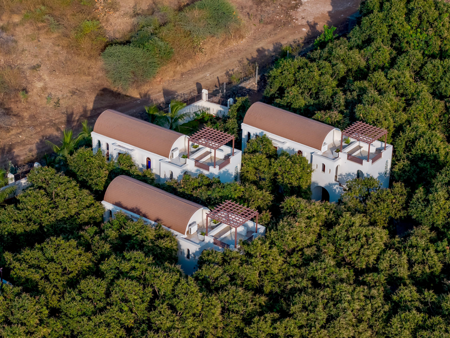 le casa lion resort a premium resort in sasan gir