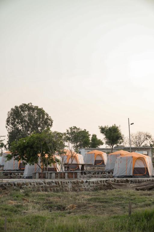moonstone hammock chikkaballapur