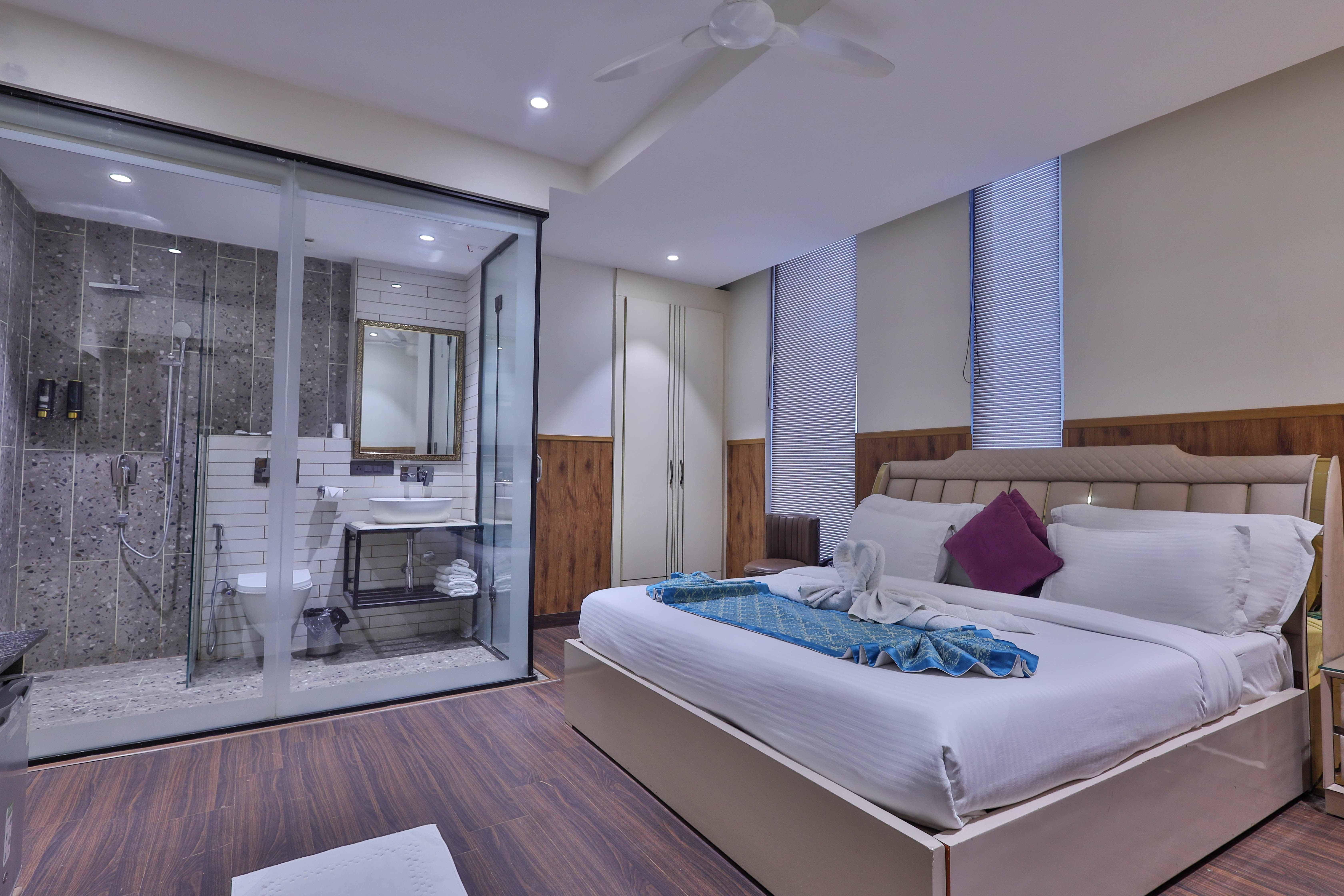 clay inn hotels paschim vihar