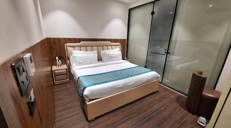 clay inn hotels paschim vihar