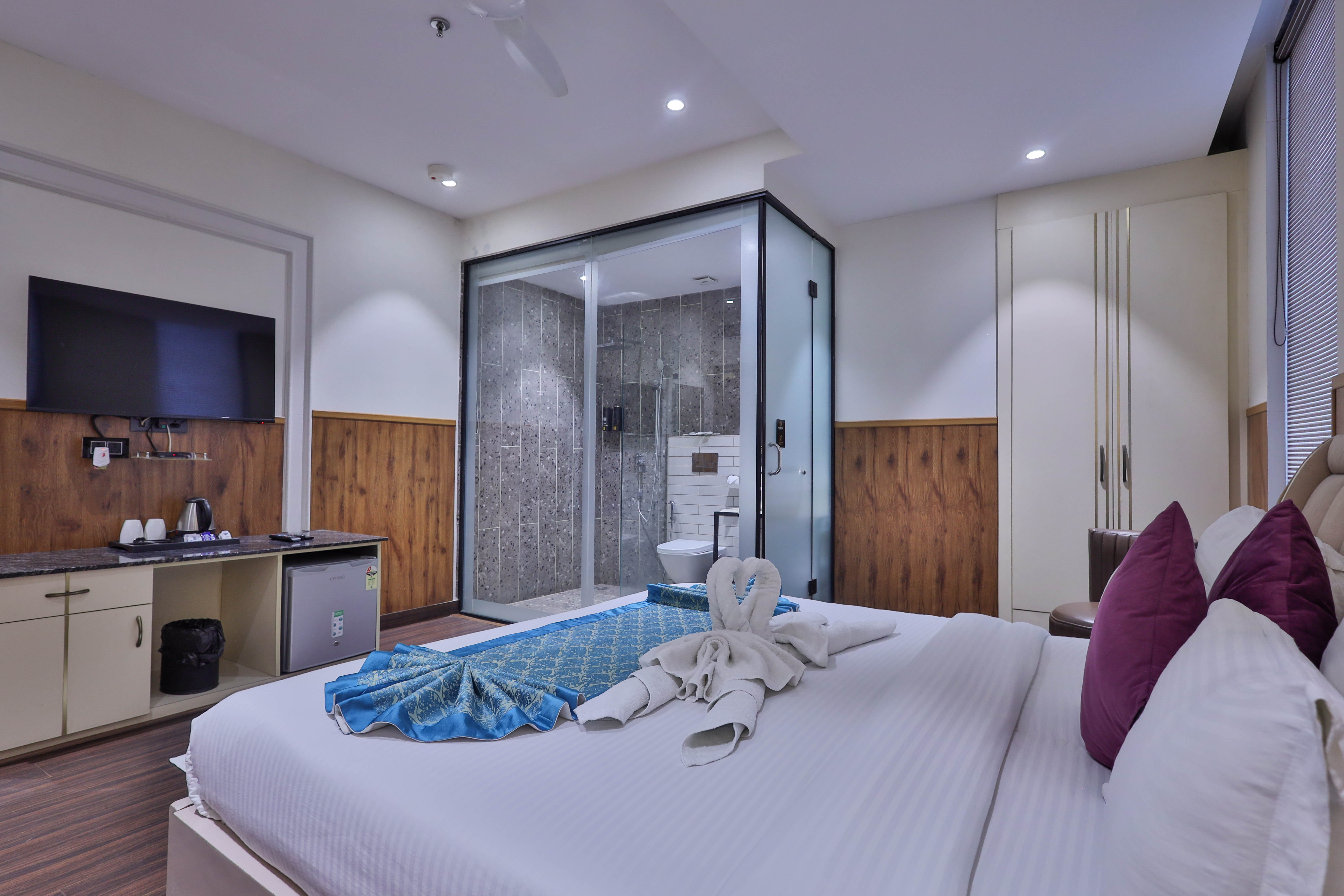 clay inn hotels paschim vihar