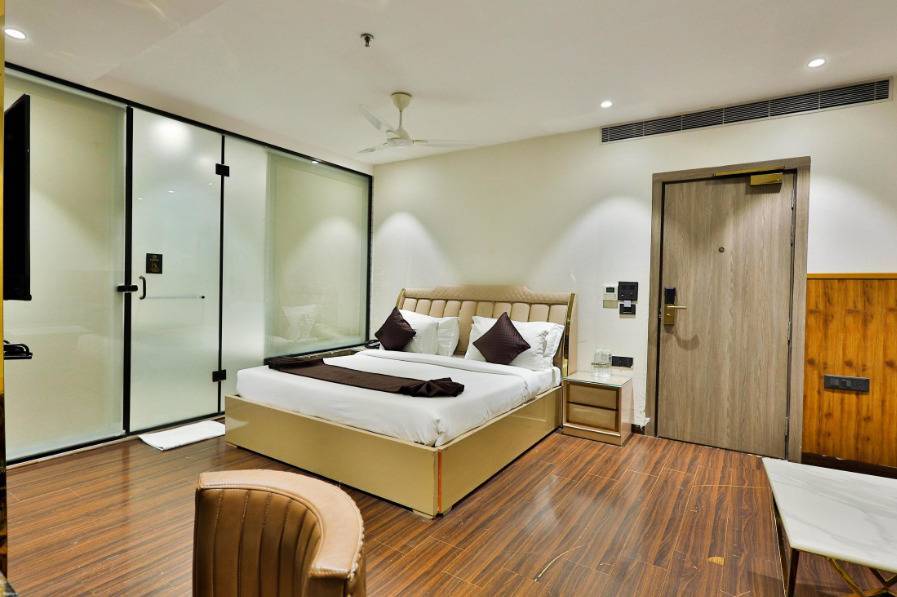 clay inn hotels paschim vihar