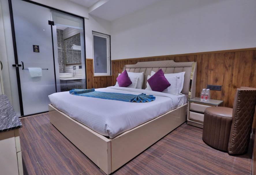 clay inn hotels paschim vihar