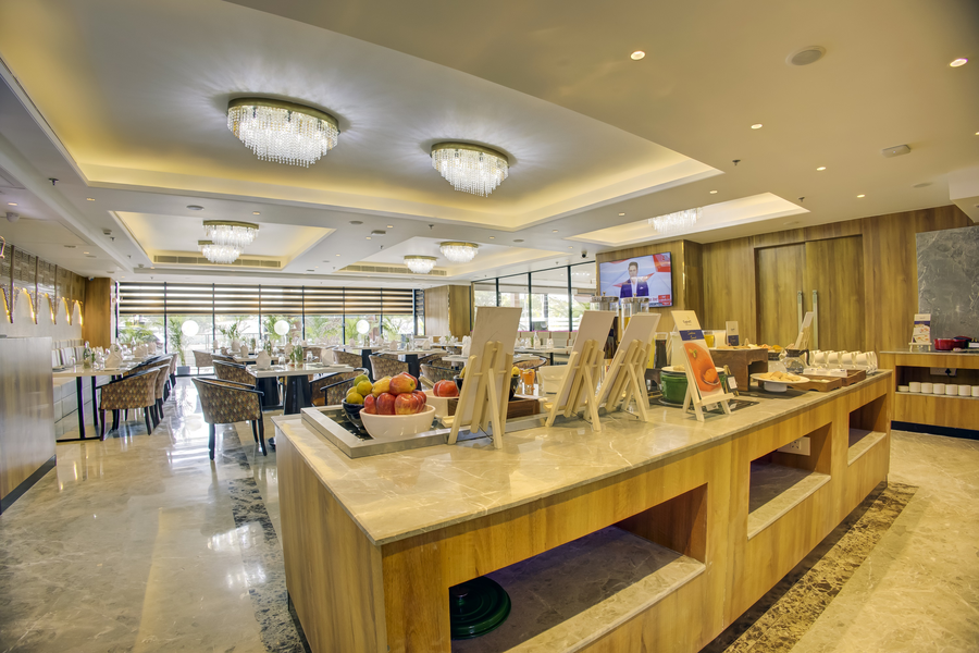 cygnett inn airport jaipur