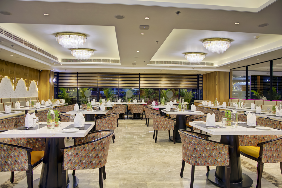 cygnett inn airport jaipur