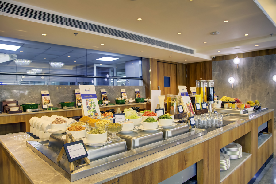 cygnett inn airport jaipur