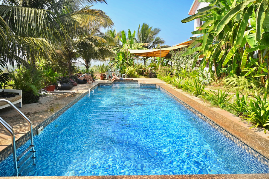 Dragonfly Goa,,3 star