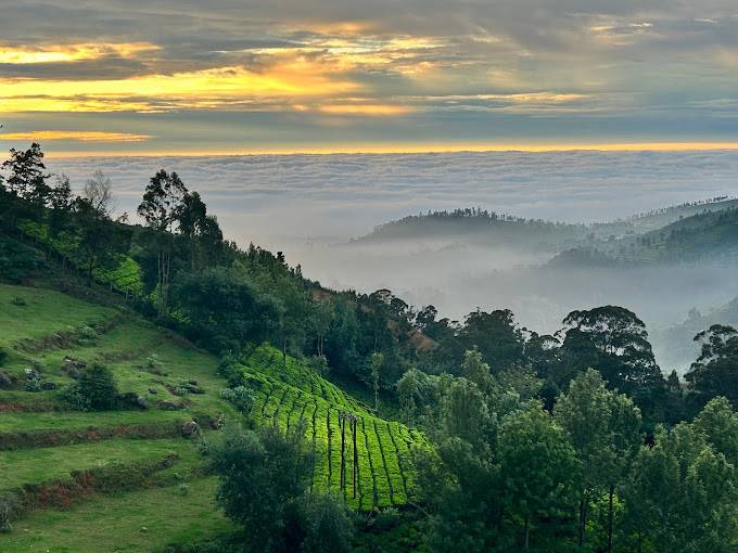 Vanam Holidays,Ooty,Tamil Nadu,2 star