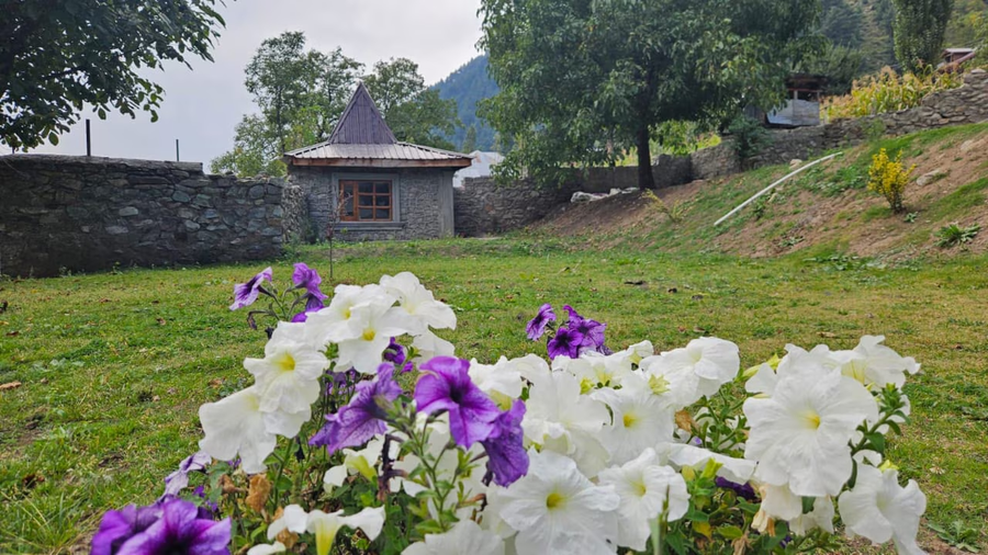 xenious white house eco resort