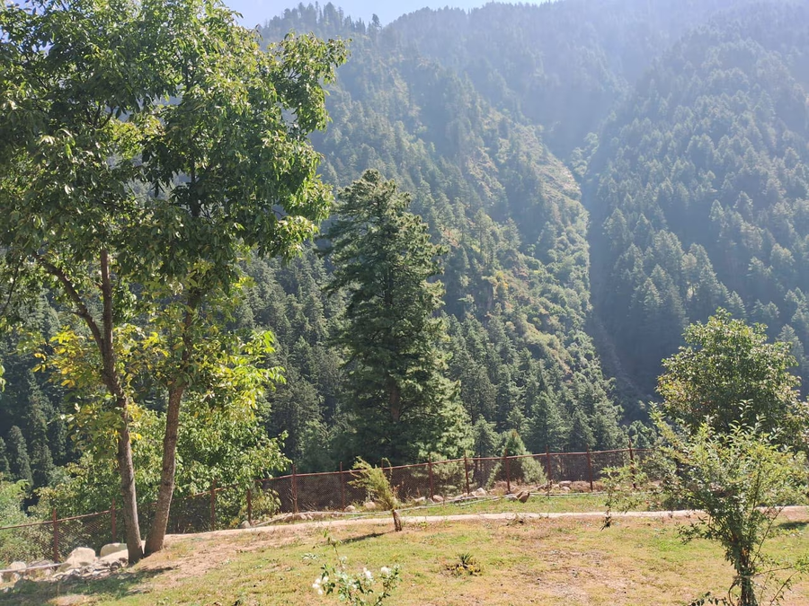 xenious white house eco resort