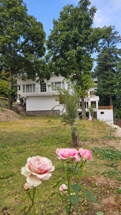 xenious white house eco resort