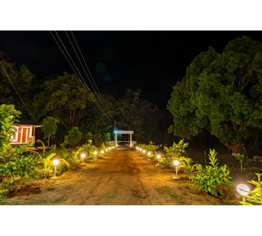 Dandeli Hill View Jungle Stay,Dandeli,2 star