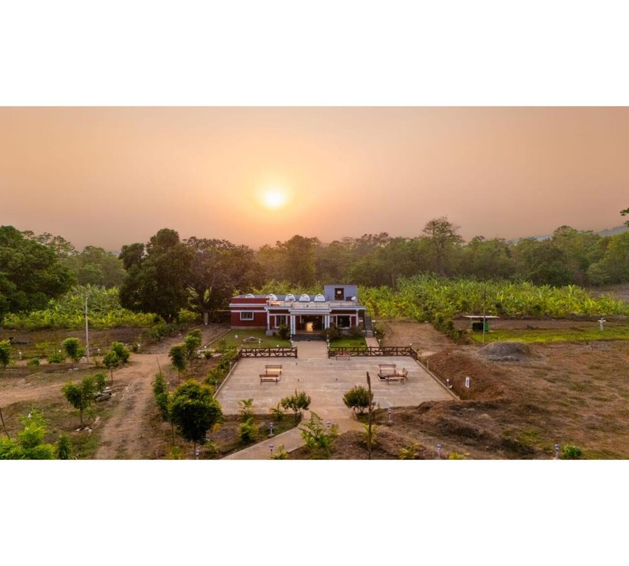 dandeli hill view jungle stay