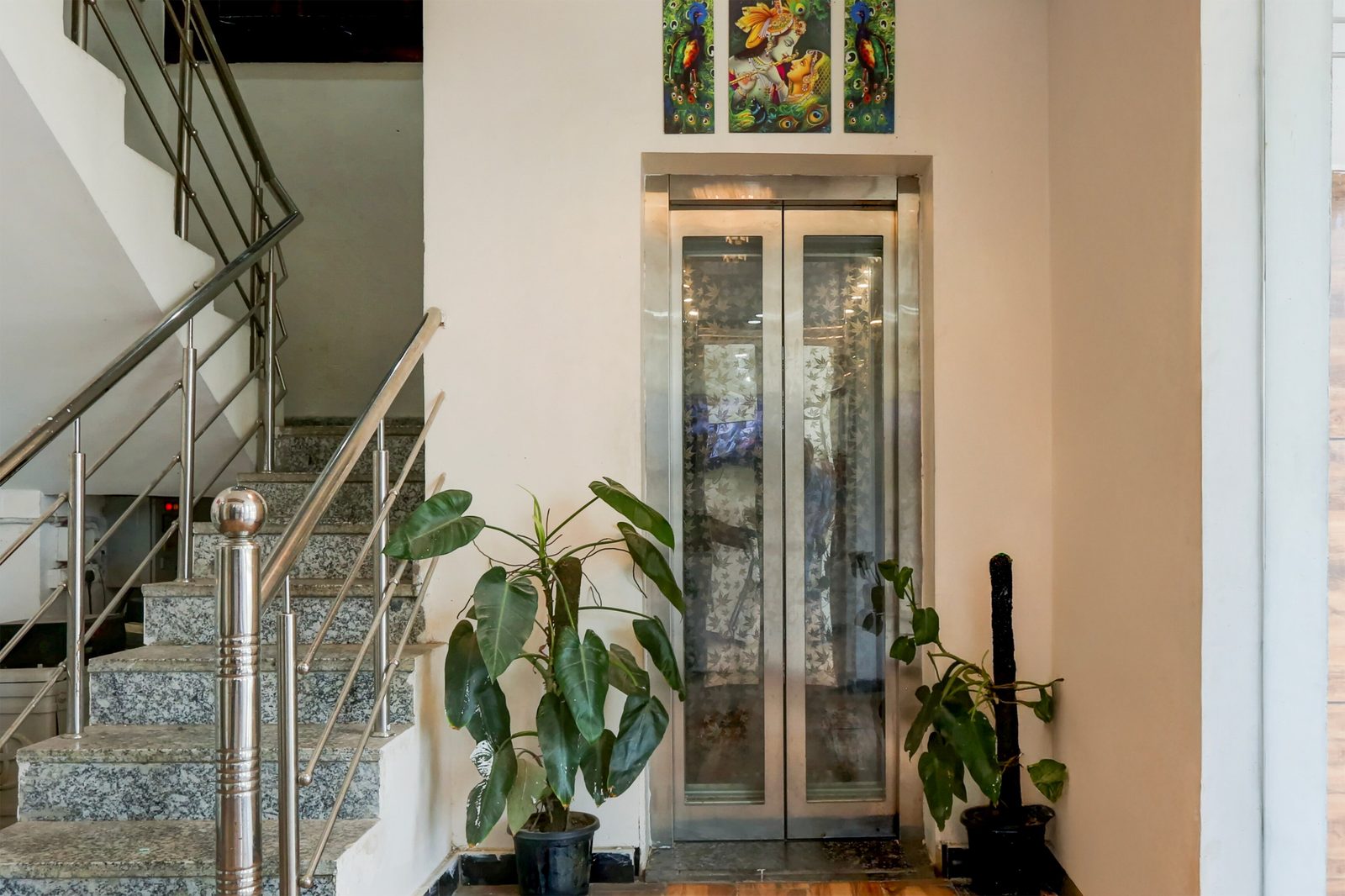 collection o shanti kunj haridwar