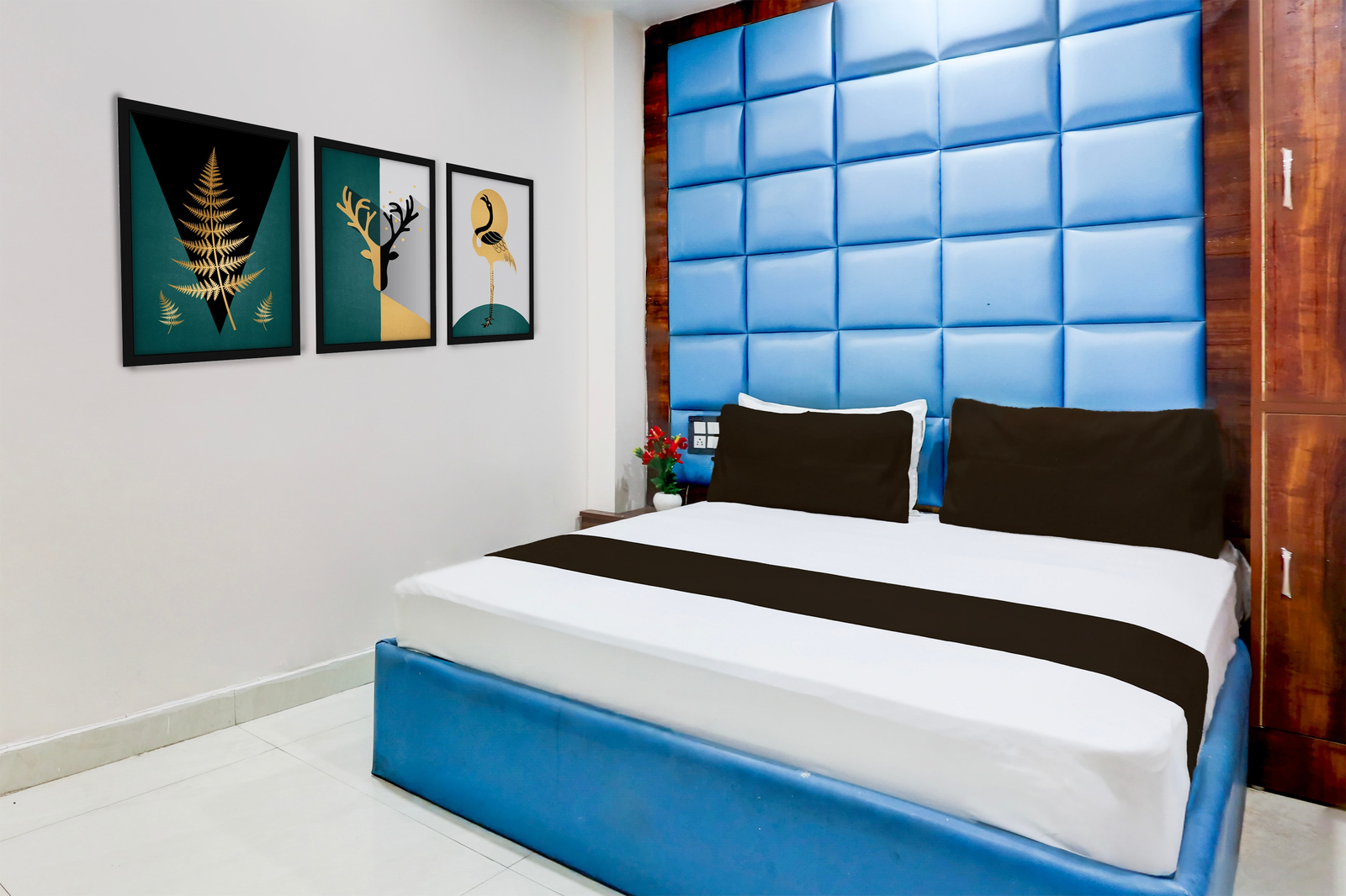 collection o shanti kunj haridwar