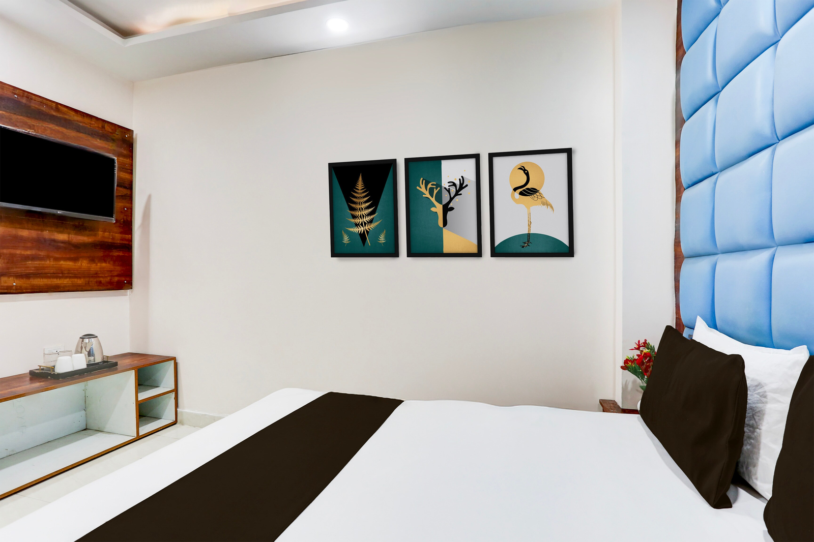 collection o shanti kunj haridwar